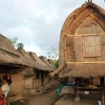 Ekowisata Seru di Desa Sade: Menyelami Budaya dan Alam Sekaligus
